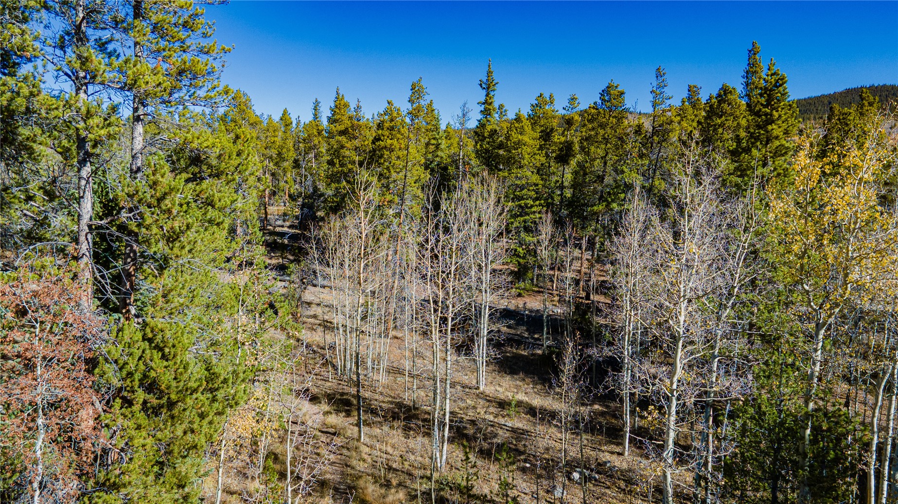 235 Willow Lane Alma CO 80440