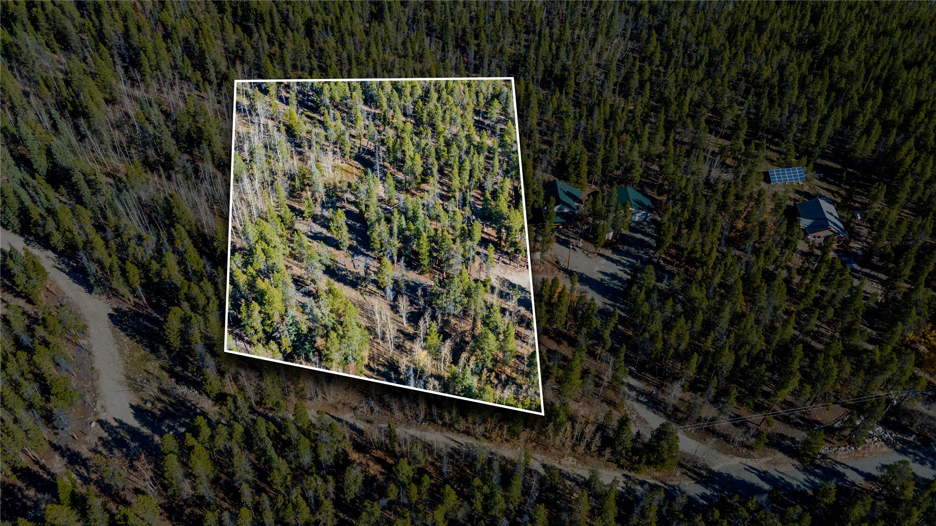 235 Willow Lane Alma CO 80440
