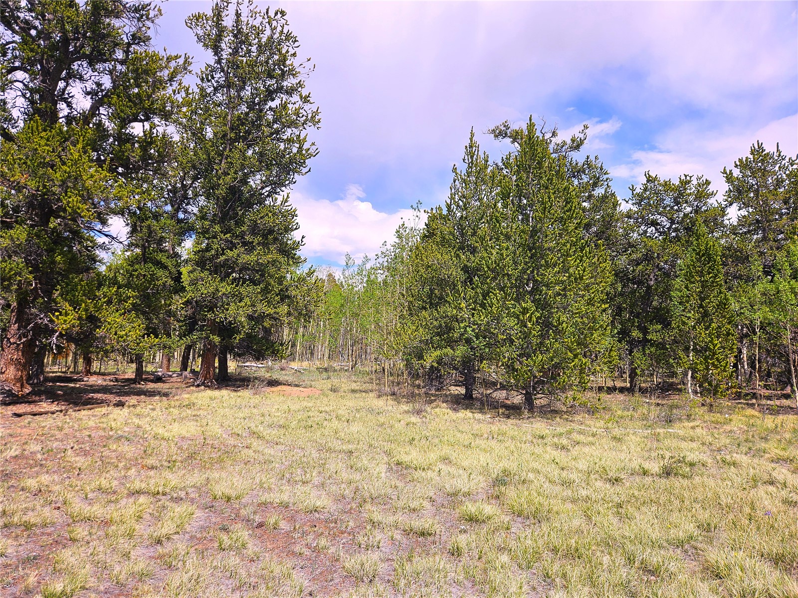 PCS#38033 Foxtail Drive Fairplay CO 80440