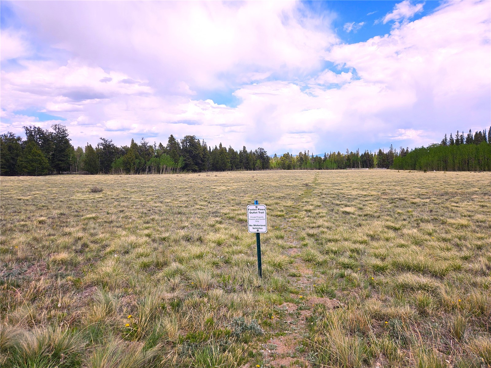 PCS#38033 Foxtail Drive Fairplay CO 80440