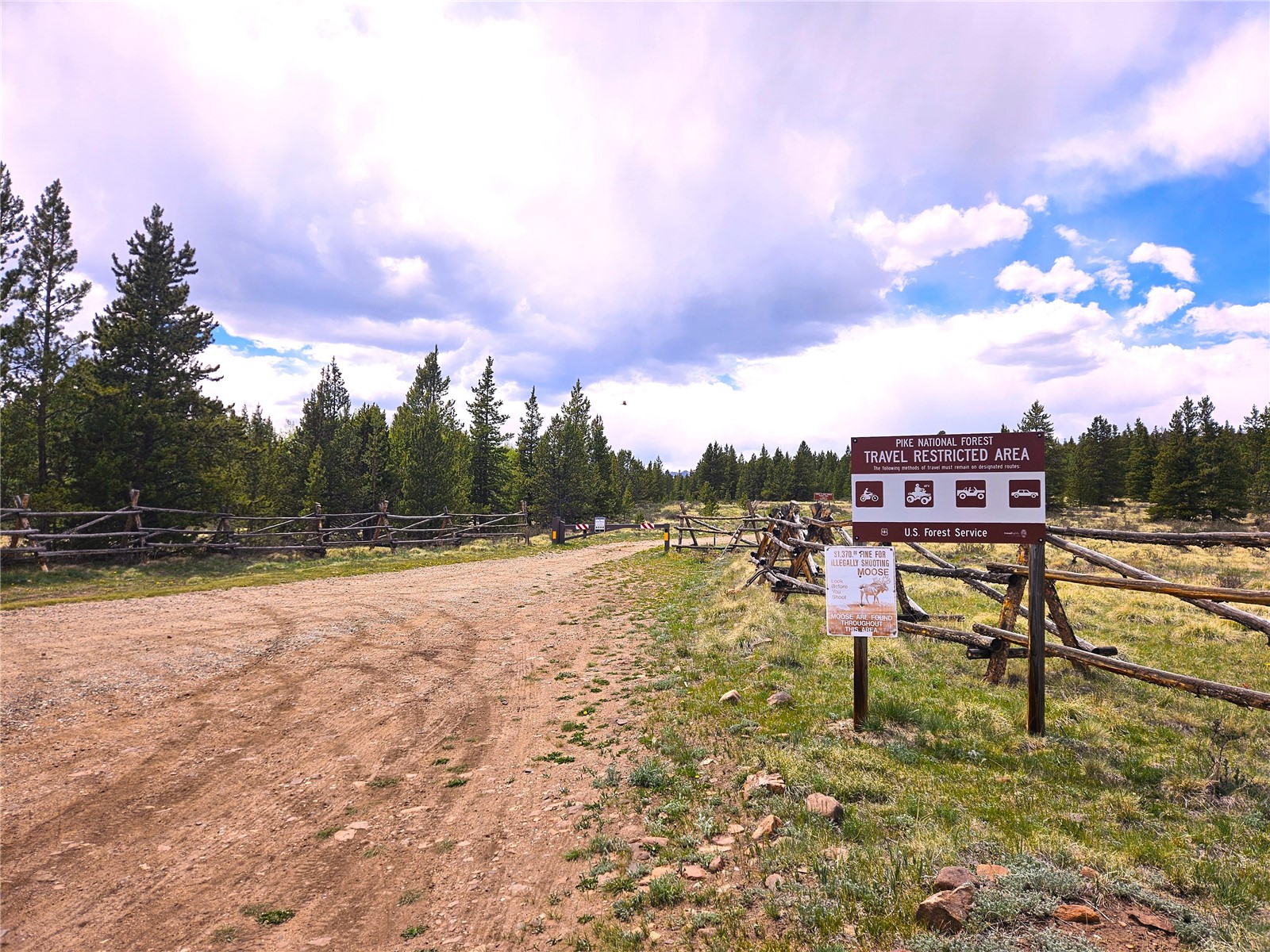 PCS#38033 Foxtail Drive Fairplay CO 80440