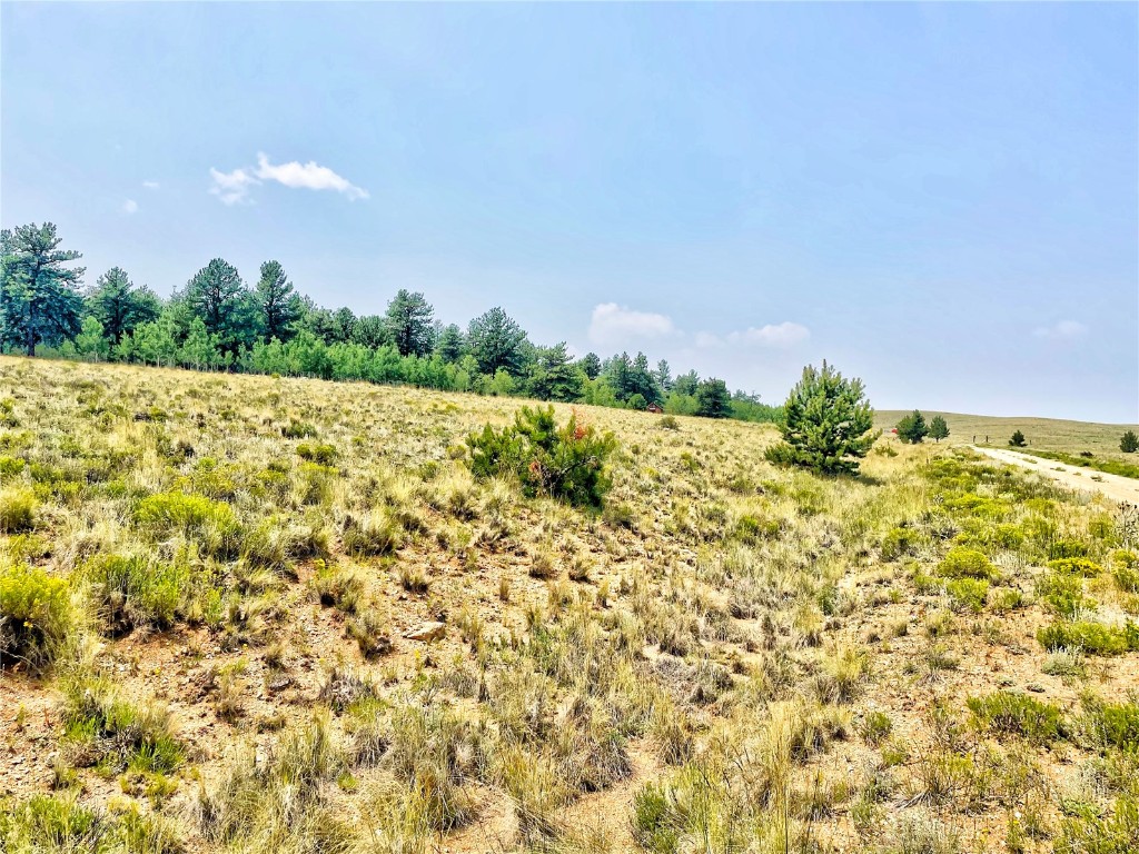 887 Superstition Trail Hartsel CO 80449