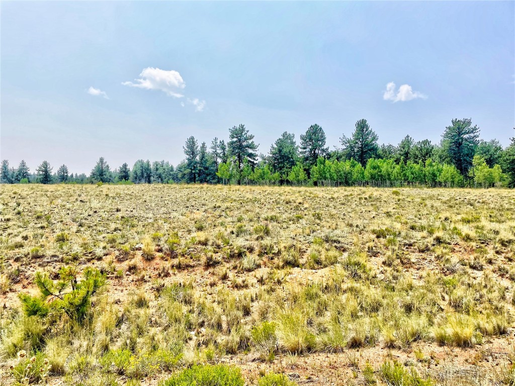 887 Superstition Trail Hartsel CO 80449
