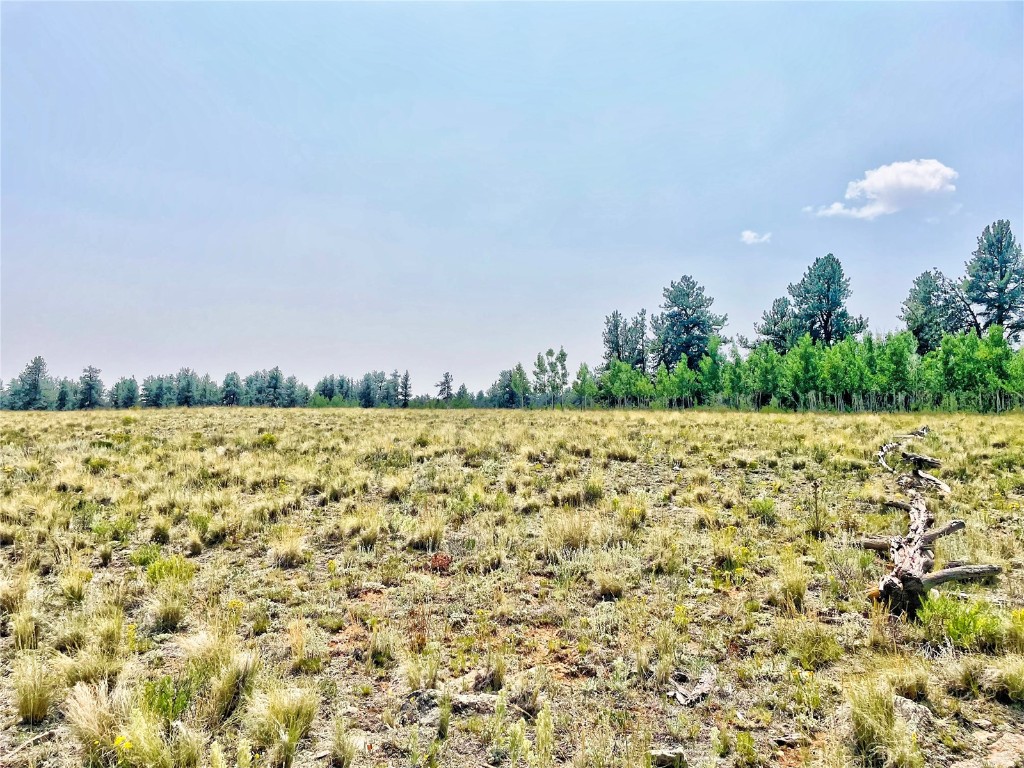 887 Superstition Trail Hartsel CO 80449