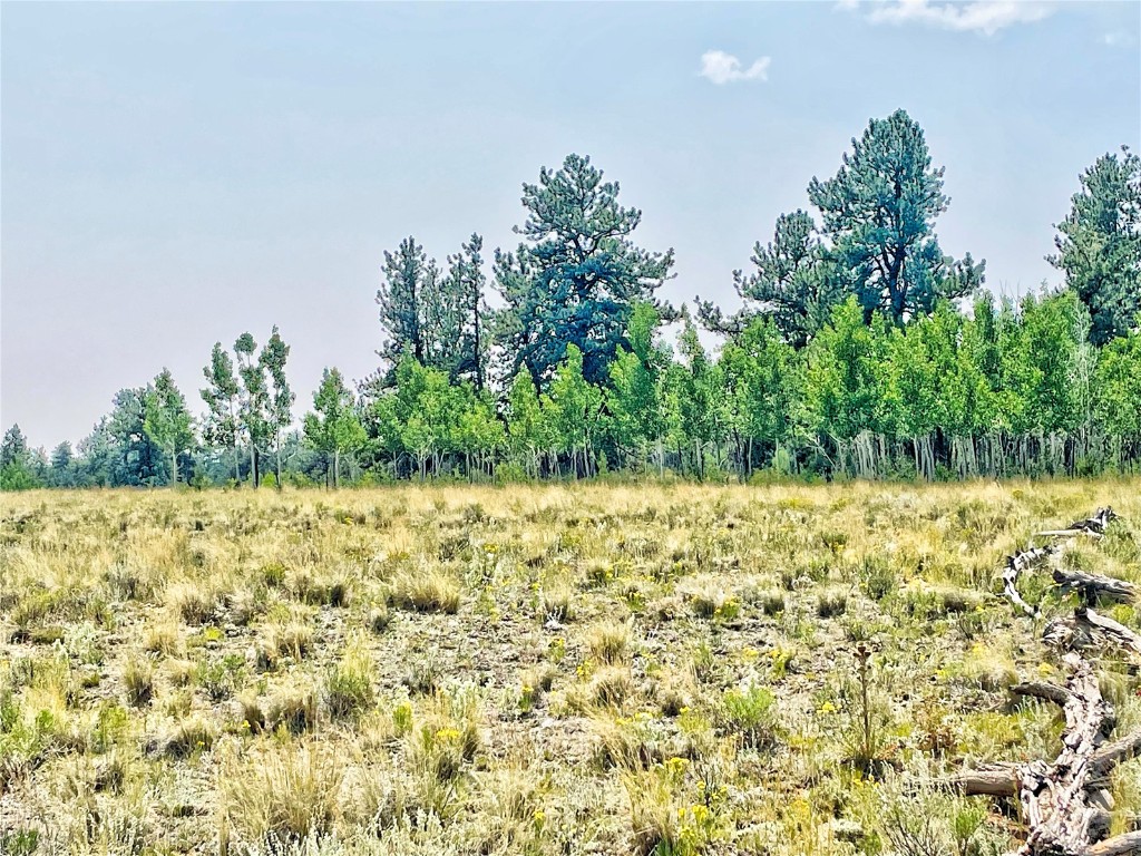 887 Superstition Trail Hartsel CO 80449