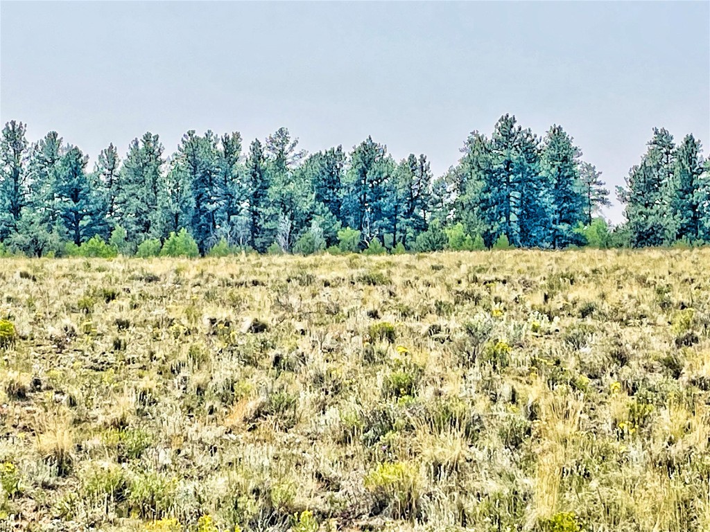 887 Superstition Trail Hartsel CO 80449
