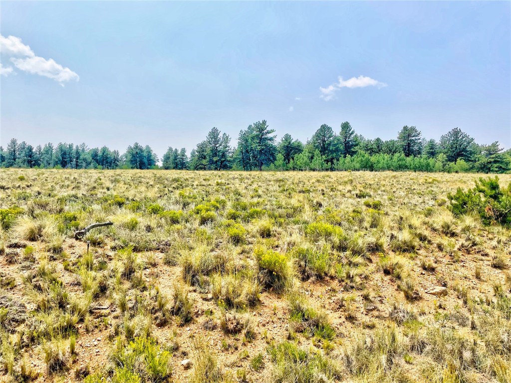 887 Superstition Trail Hartsel CO 80449
