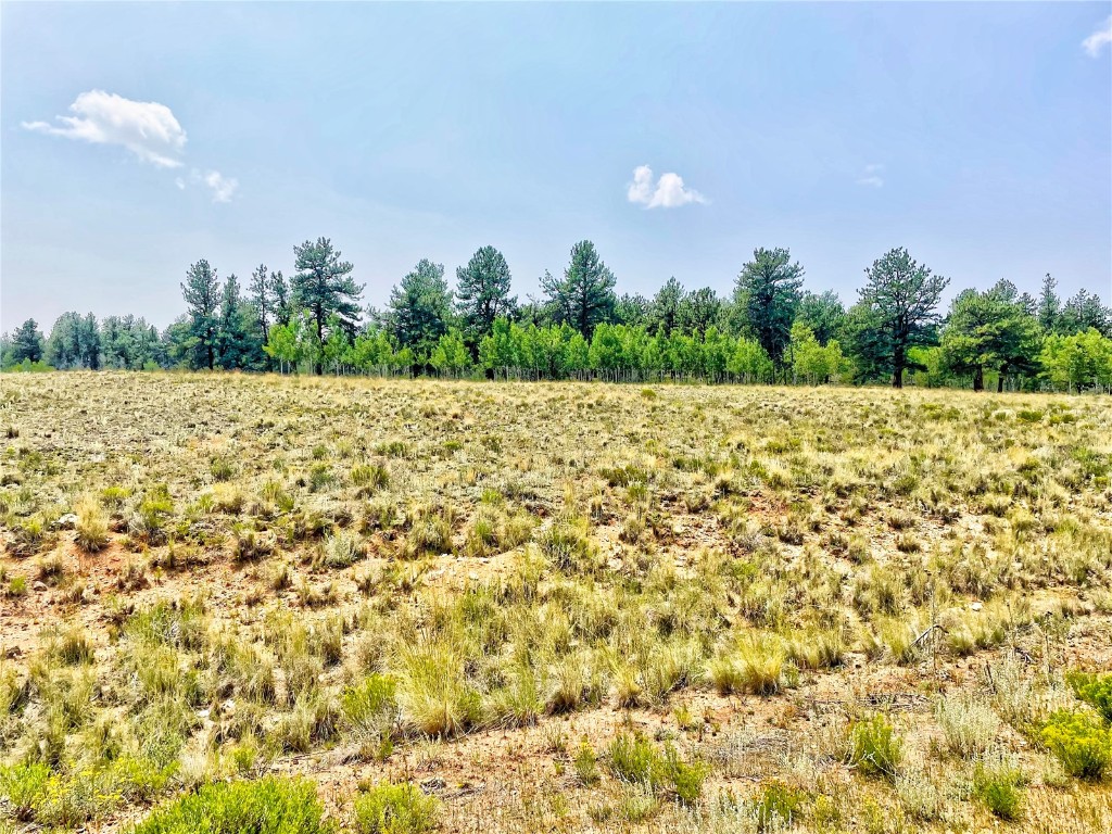 887 Superstition Trail Hartsel CO 80449