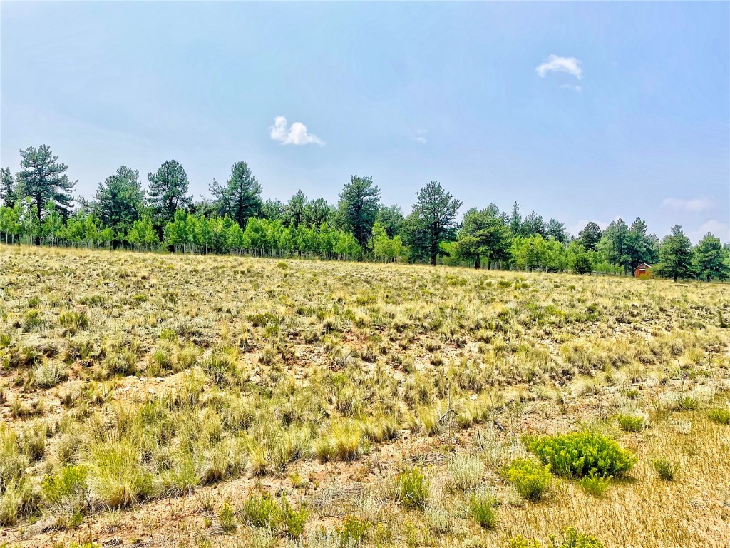 887 Superstition Trail Hartsel CO 80449