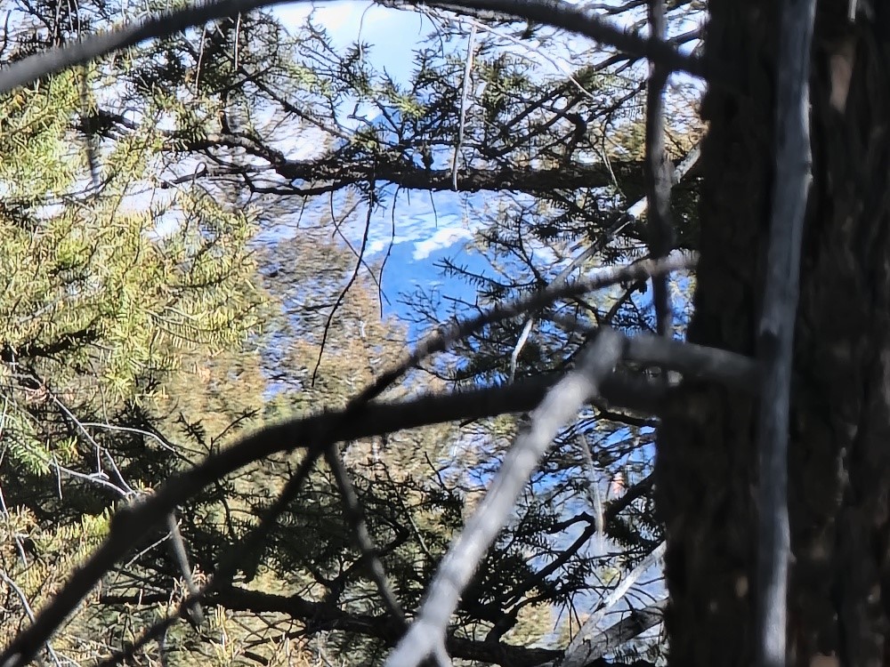1333 Middle Fork Fairplay CO 80440