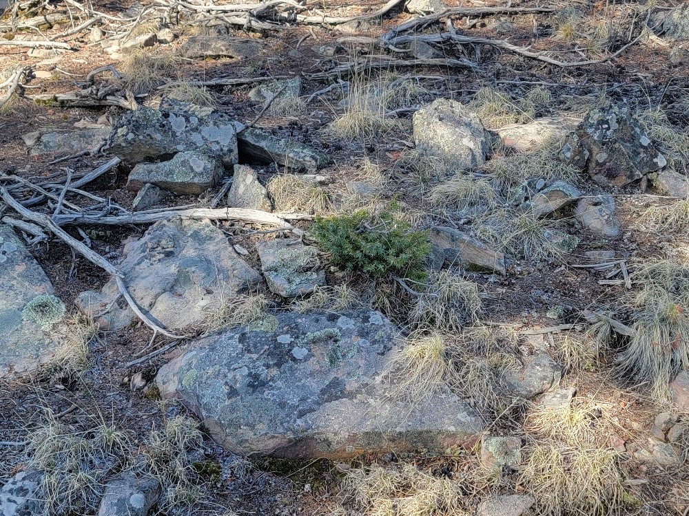 1333 Middle Fork Fairplay CO 80440