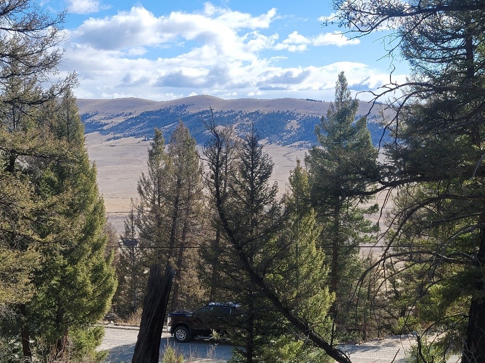 1333 Middle Fork Fairplay CO 80440