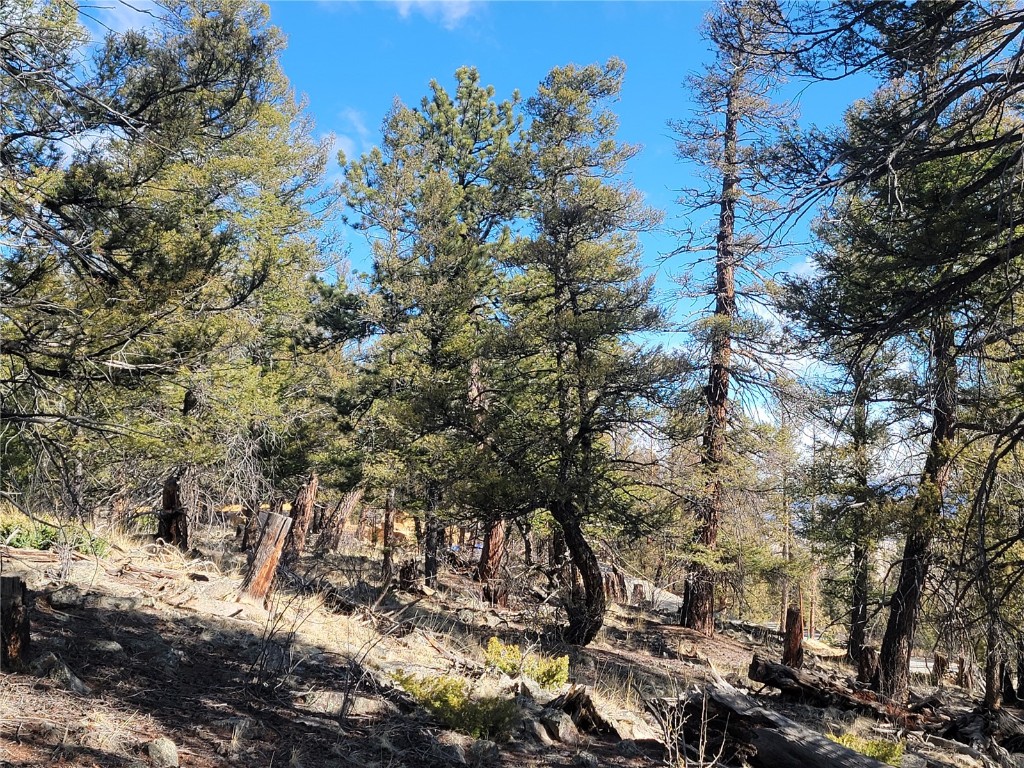 1333 Middle Fork Fairplay CO 80440