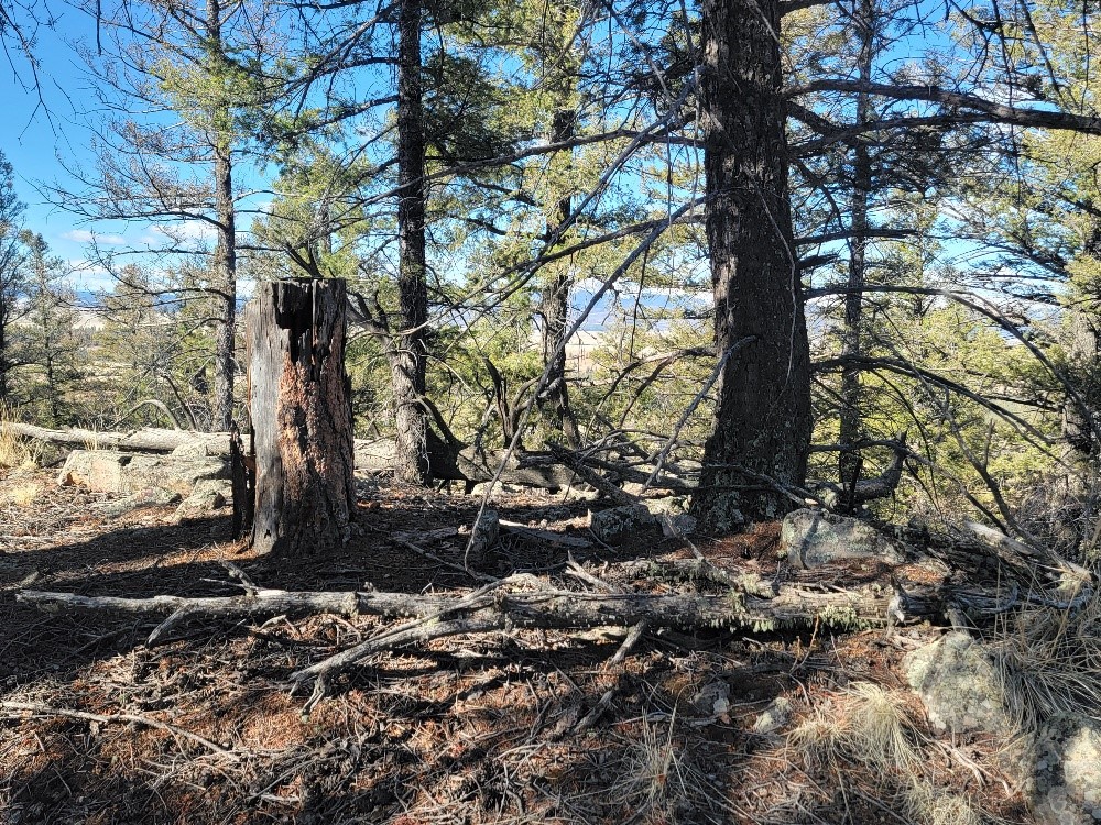 1333 Middle Fork Fairplay CO 80440