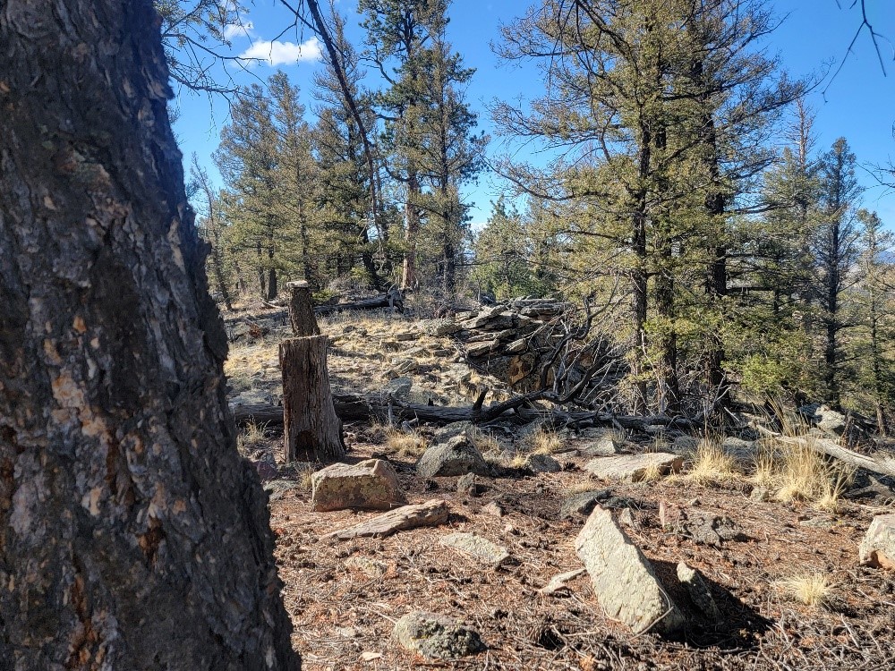 1333 Middle Fork Fairplay CO 80440