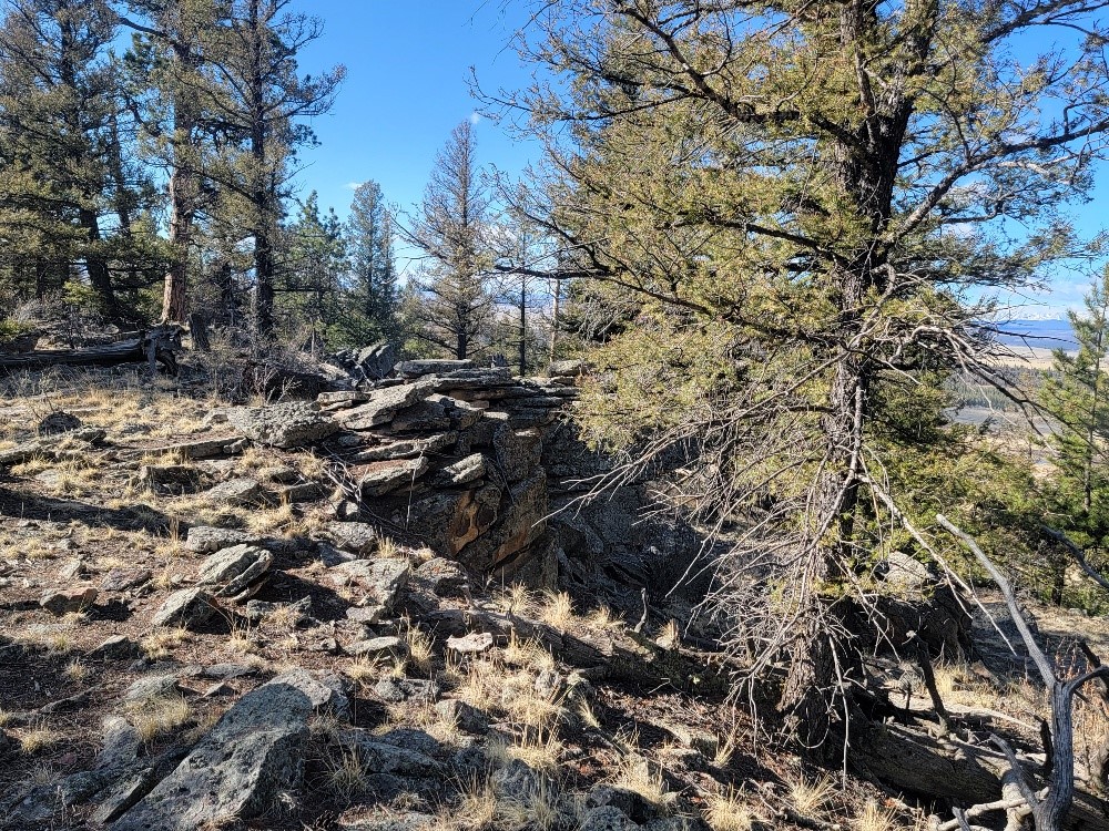 1333 Middle Fork Fairplay CO 80440
