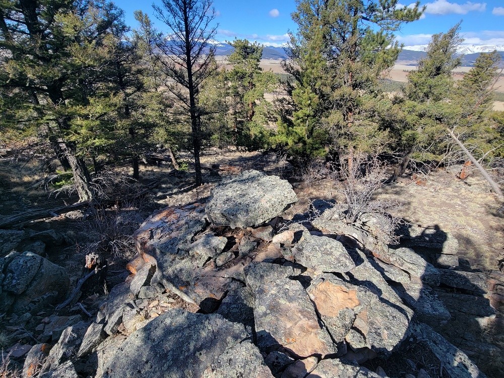 1333 Middle Fork Fairplay CO 80440