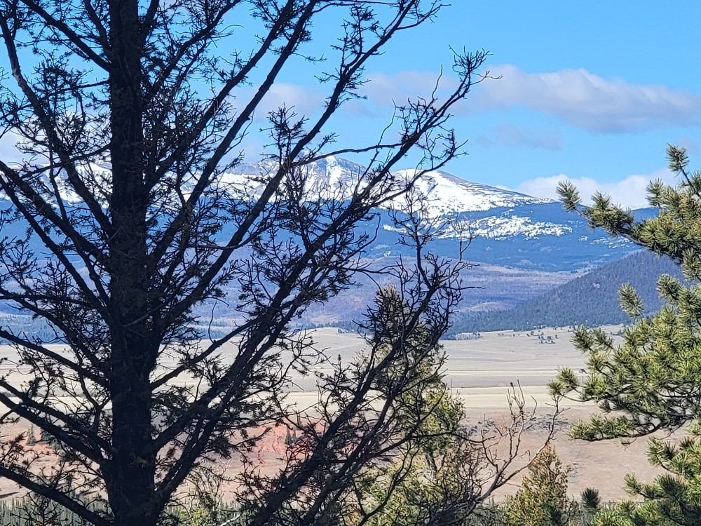 1333 Middle Fork Fairplay CO 80440
