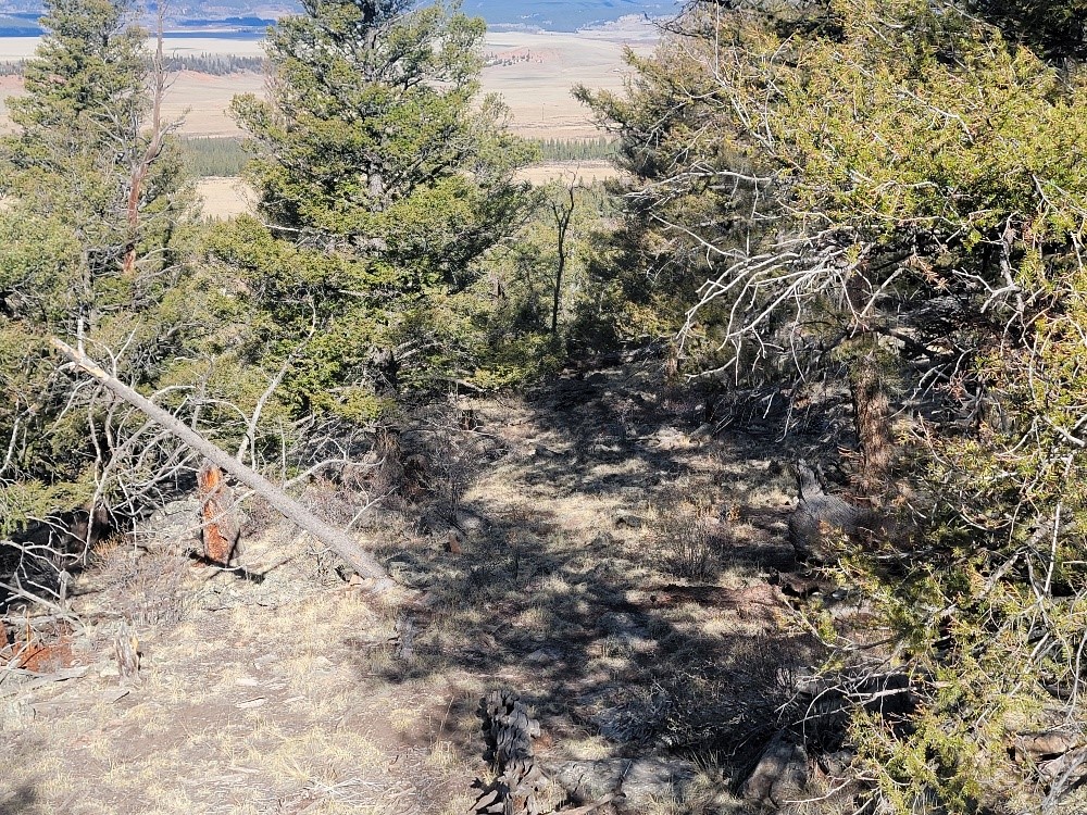 1333 Middle Fork Fairplay CO 80440