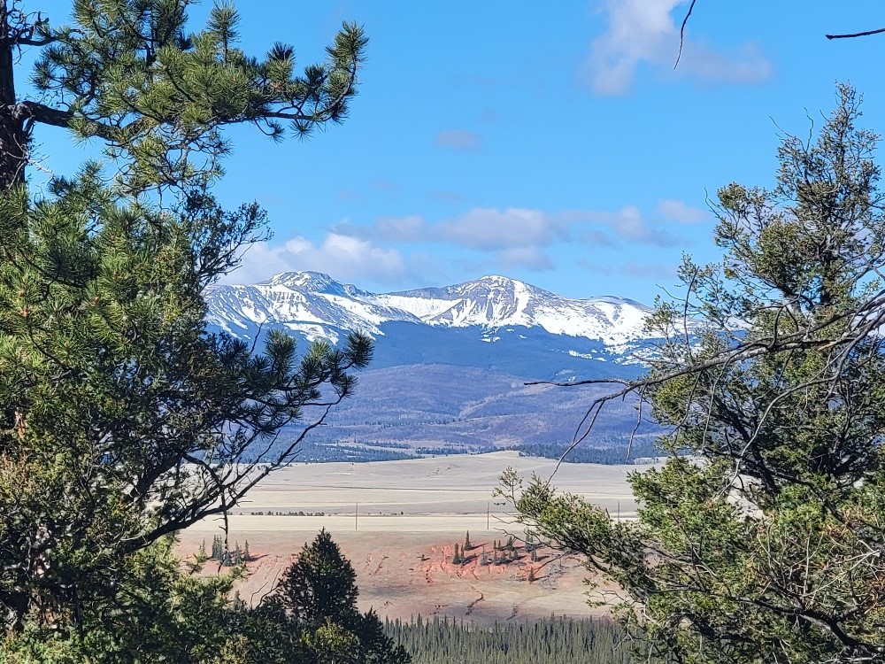 1333 Middle Fork Fairplay CO 80440