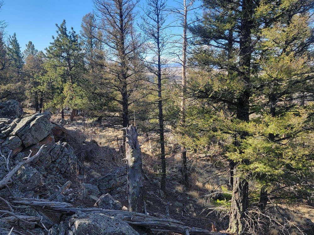1333 Middle Fork Fairplay CO 80440