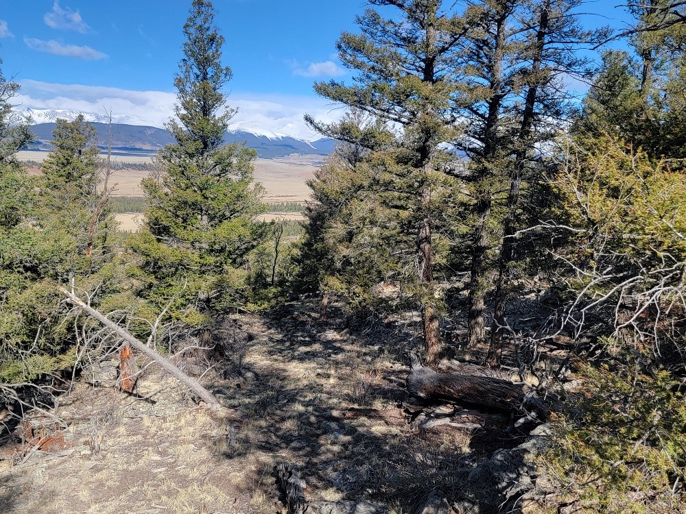 1333 Middle Fork Fairplay CO 80440