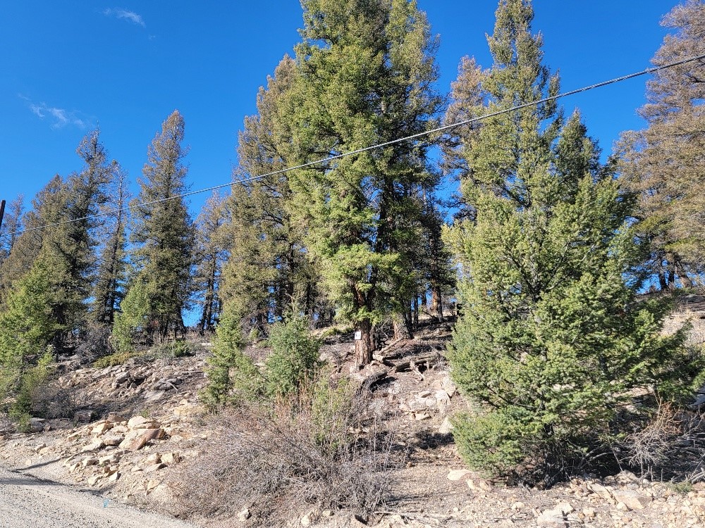 1333 Middle Fork Fairplay CO 80440