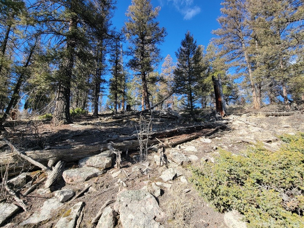 1333 Middle Fork Fairplay CO 80440
