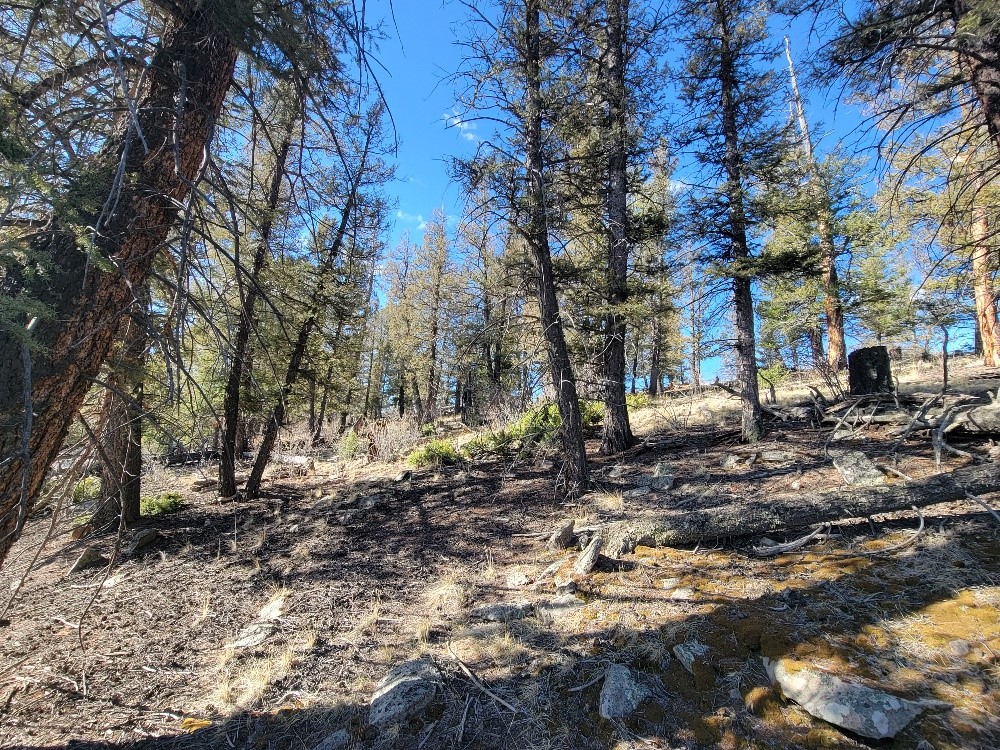 1333 Middle Fork Fairplay CO 80440