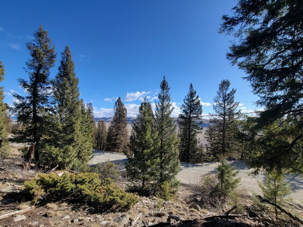1333 Middle Fork Fairplay CO 80440