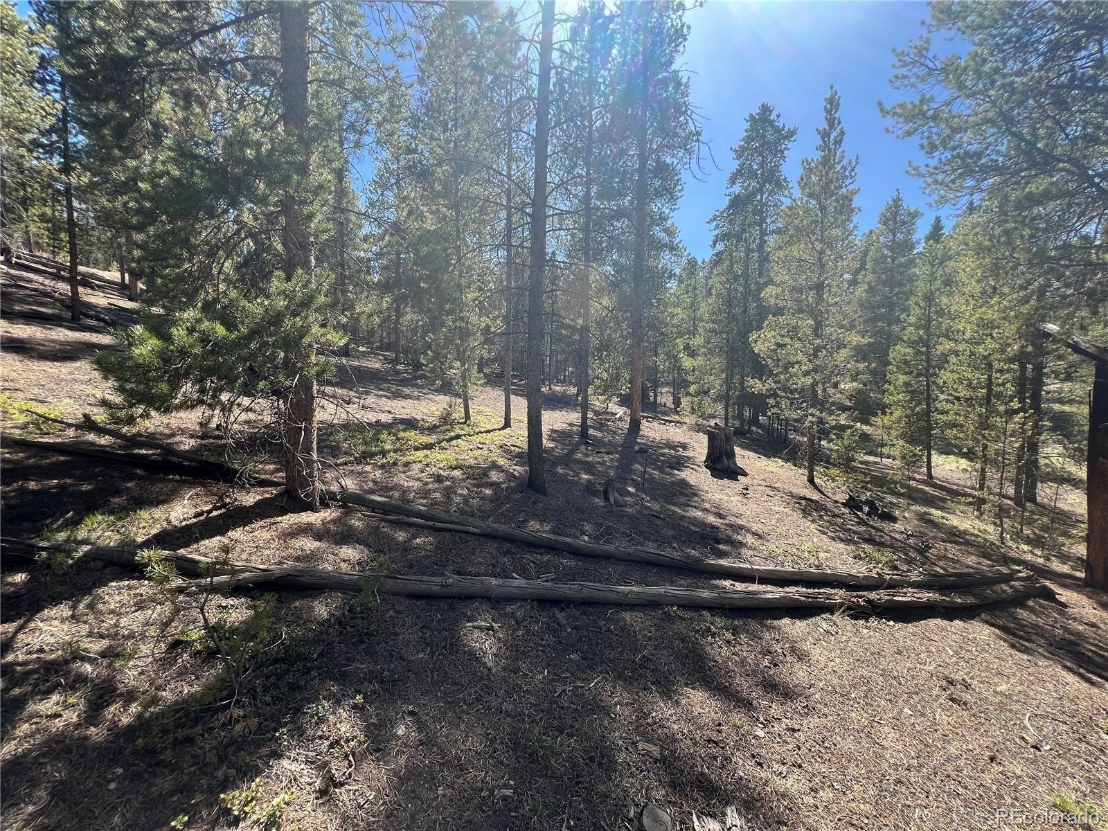 123 Lodgepole Drive Leadville CO 80461