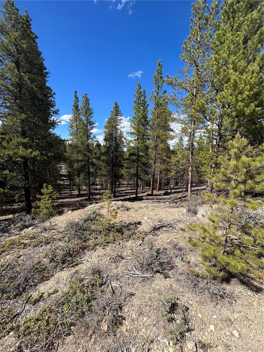 123 Lodgepole Drive Leadville CO 80461