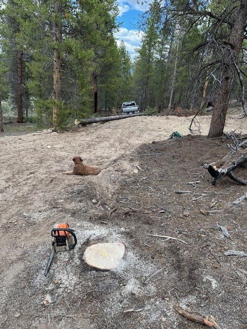 123 Lodgepole Drive Leadville CO 80461