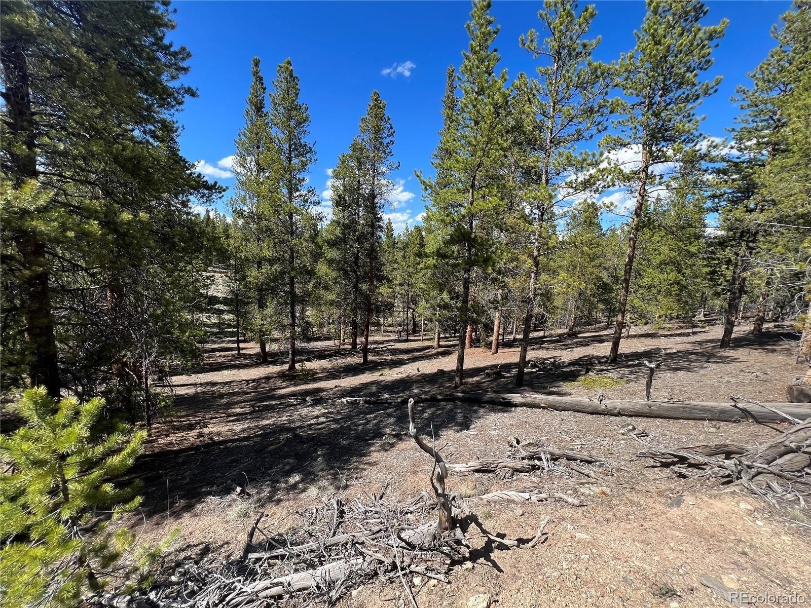 123 Lodgepole Drive Leadville CO 80461