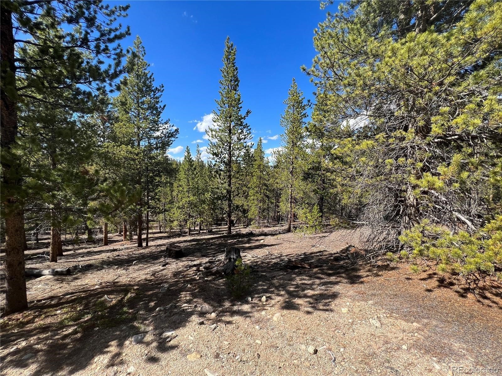 123 Lodgepole Drive Leadville CO 80461