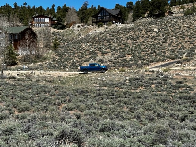 331 Mount Hope Drive Twin Lakes CO 81251