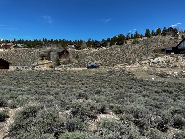 331 Mount Hope Drive Twin Lakes CO 81251