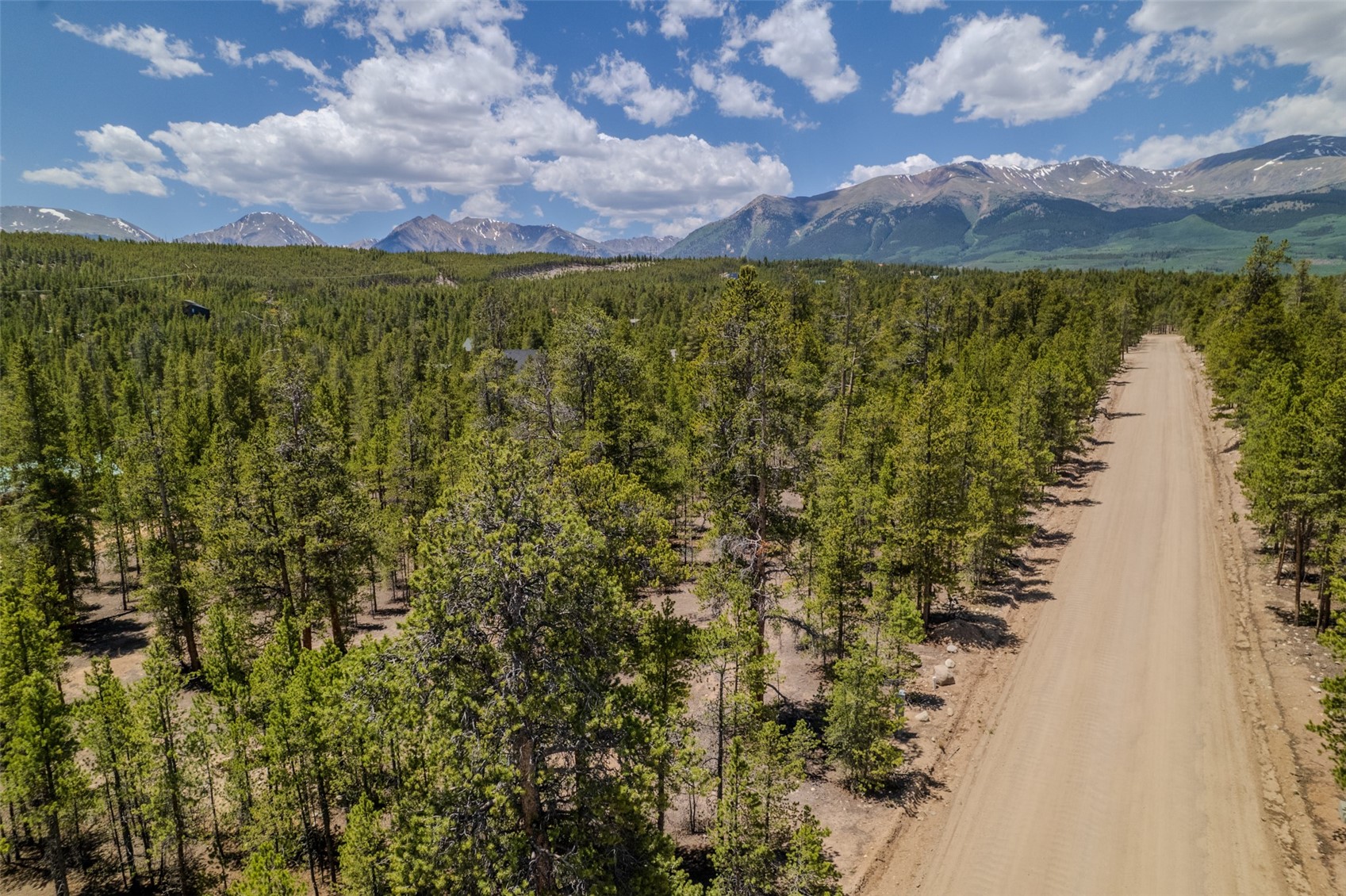 294 Peak View Drive Twin Lakes CO 80461