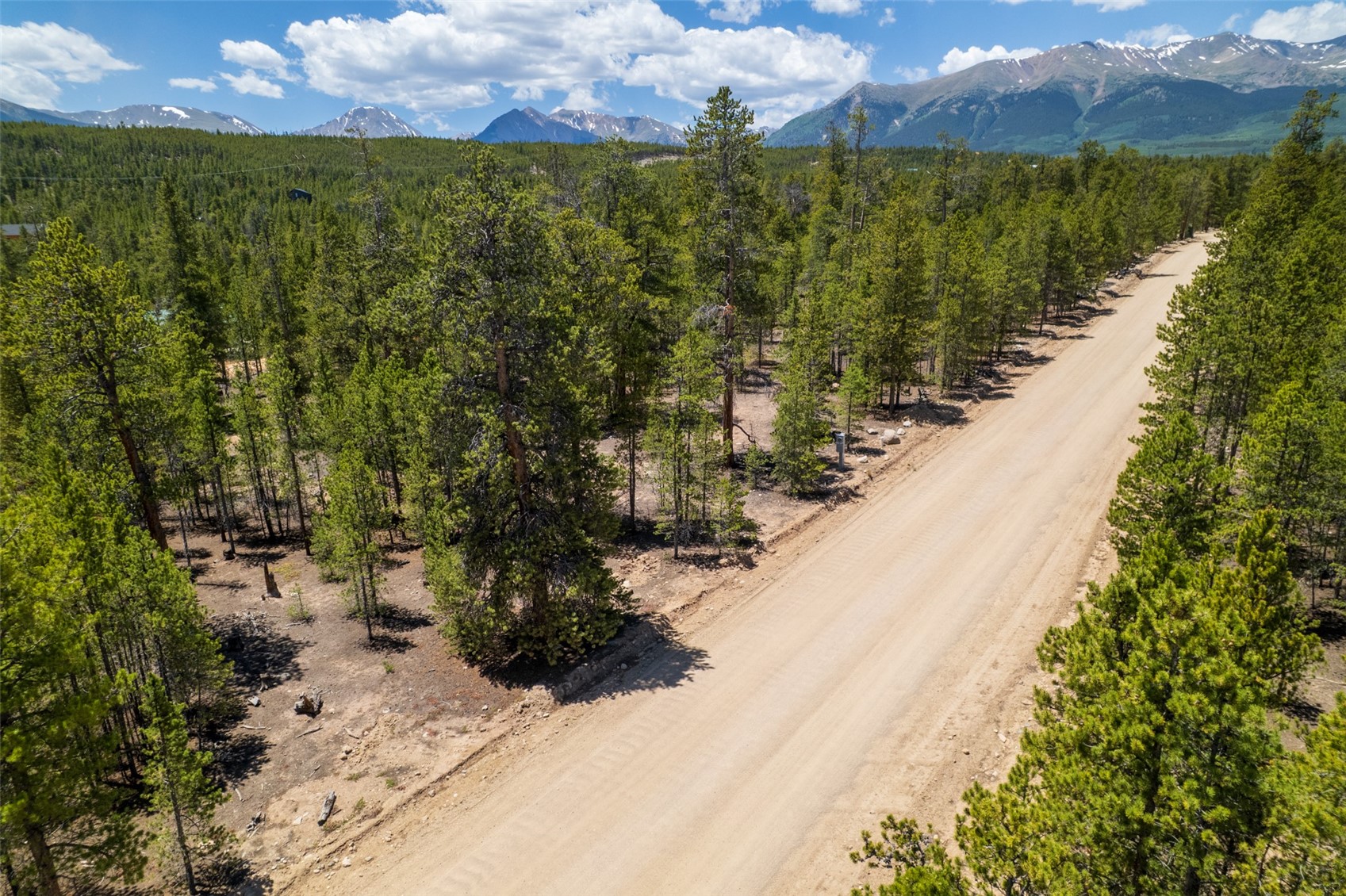 294 Peak View Drive Twin Lakes CO 80461