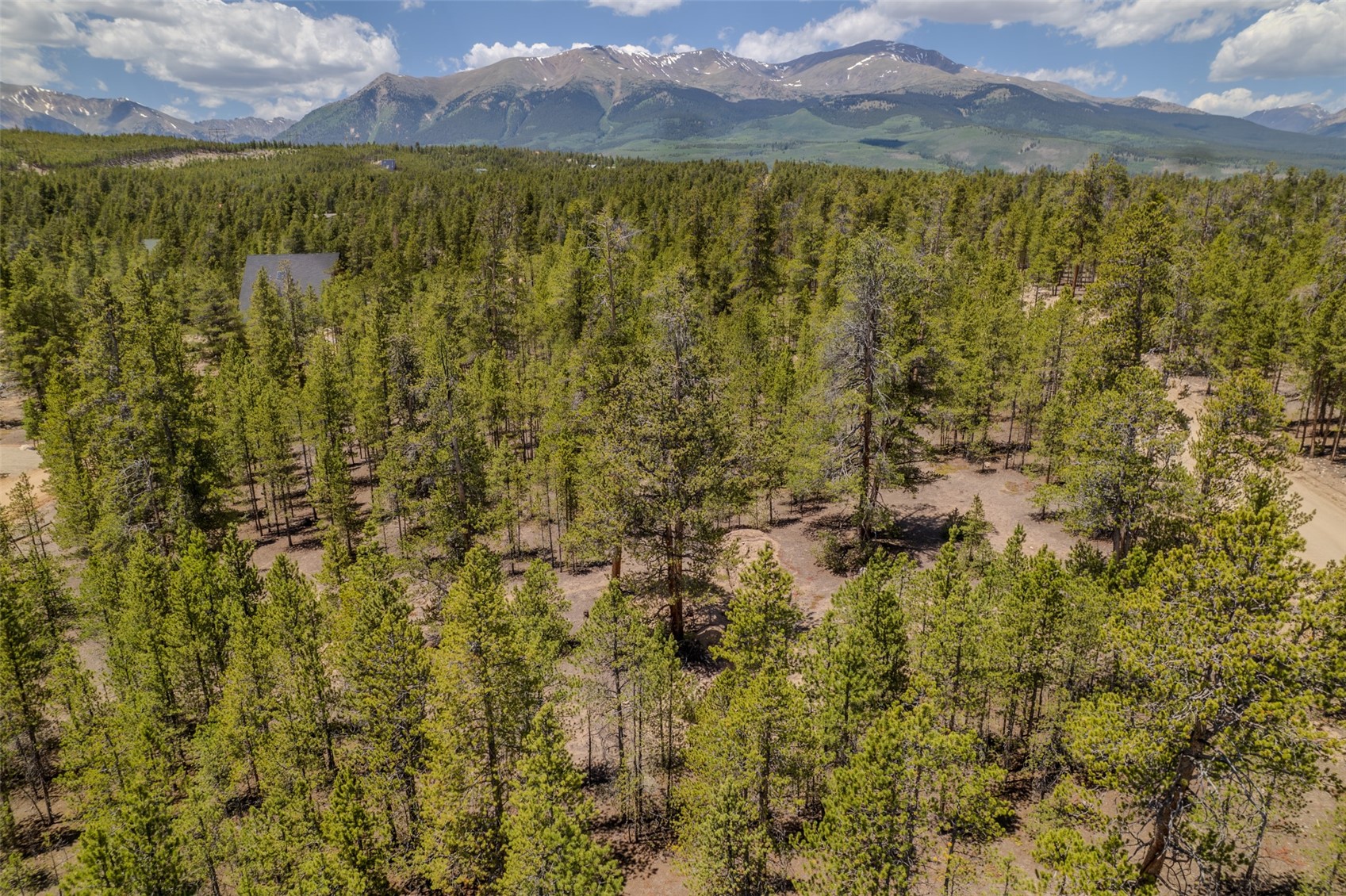 294 Peak View Drive Twin Lakes CO 80461