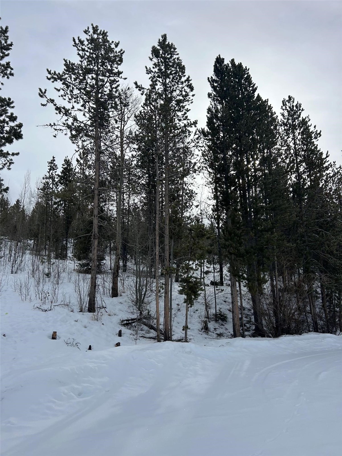 114, 122 County Road 4905 Grand Lake CO 80447