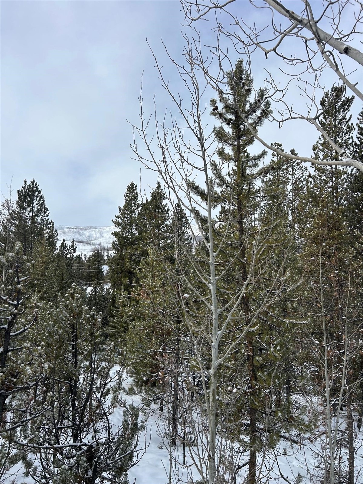 114, 122 County Road 4905 Grand Lake CO 80447