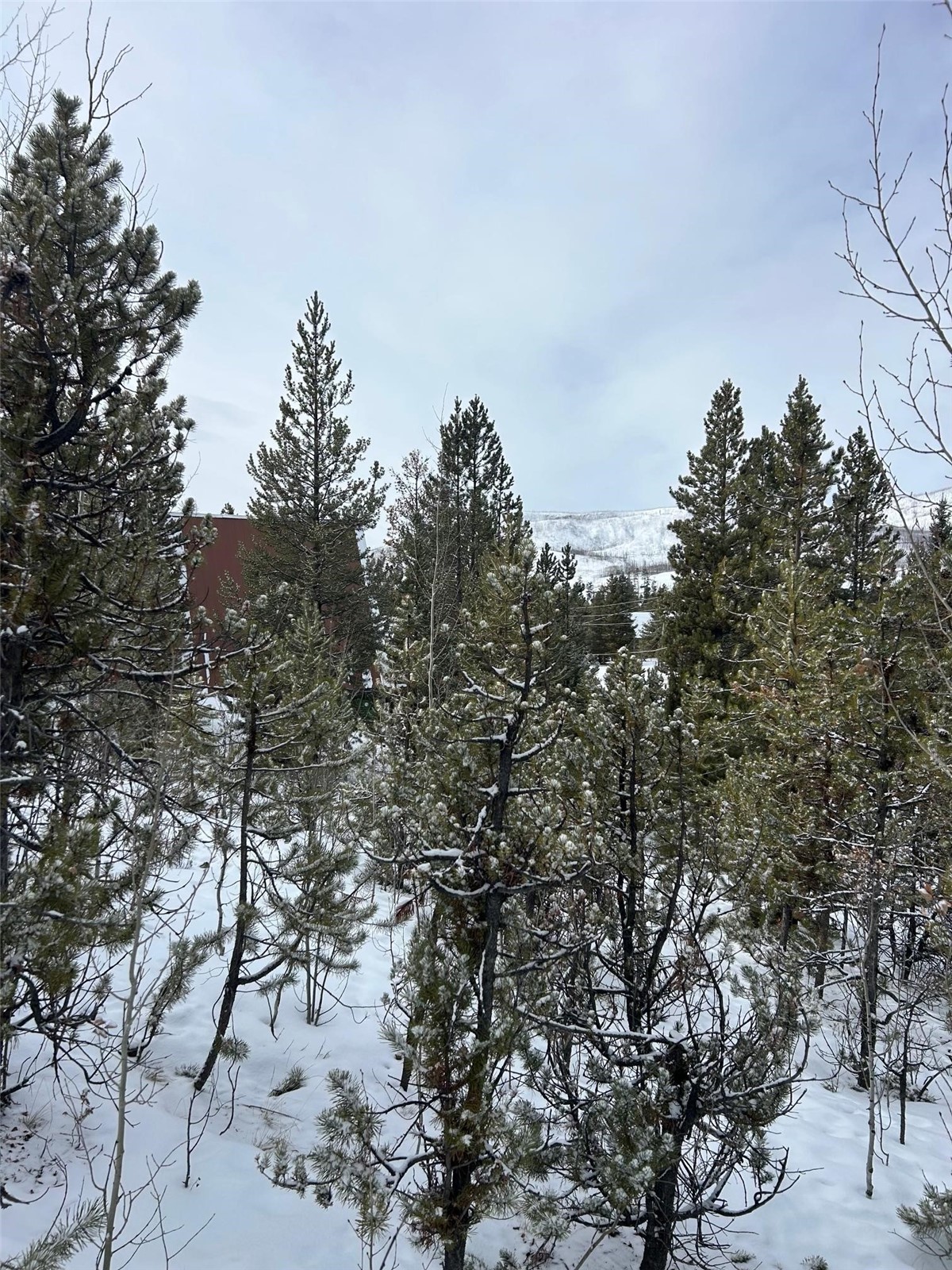114, 122 County Road 4905 Grand Lake CO 80447