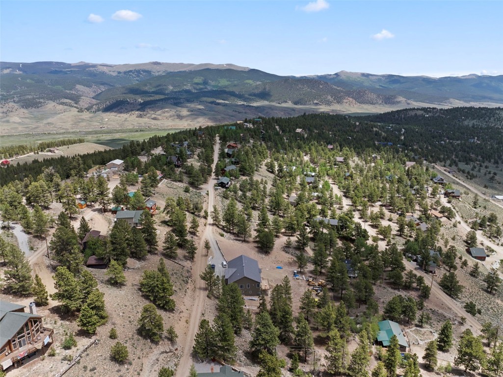 426 Parry Peak Drive Twin Lakes CO 81251