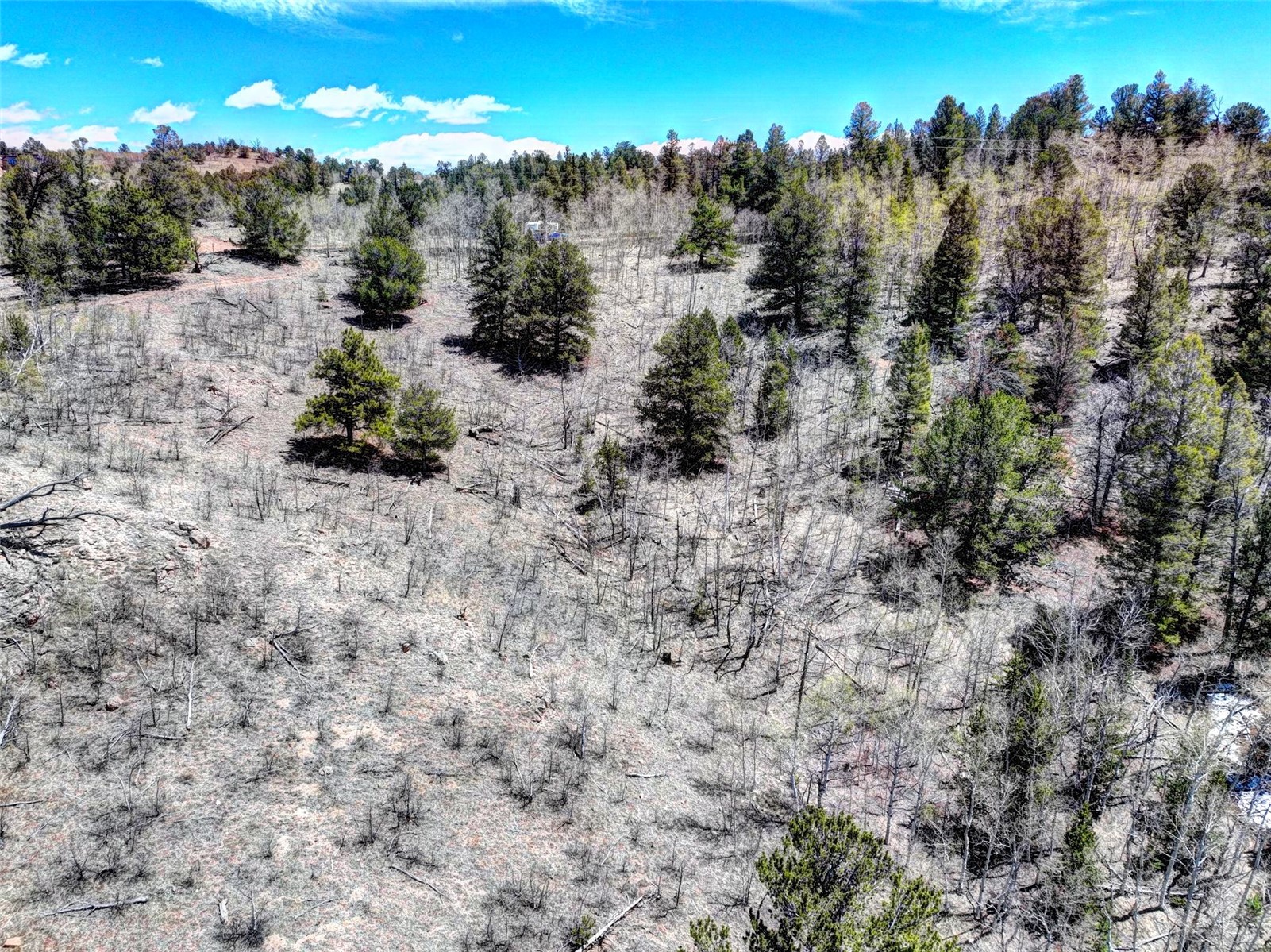 182 Starling Way Como CO 80432