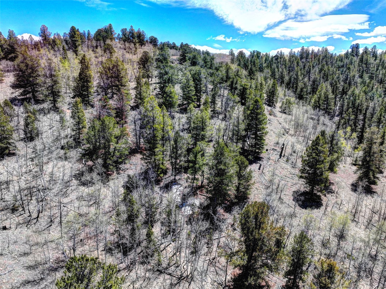 182 Starling Way Como CO 80432