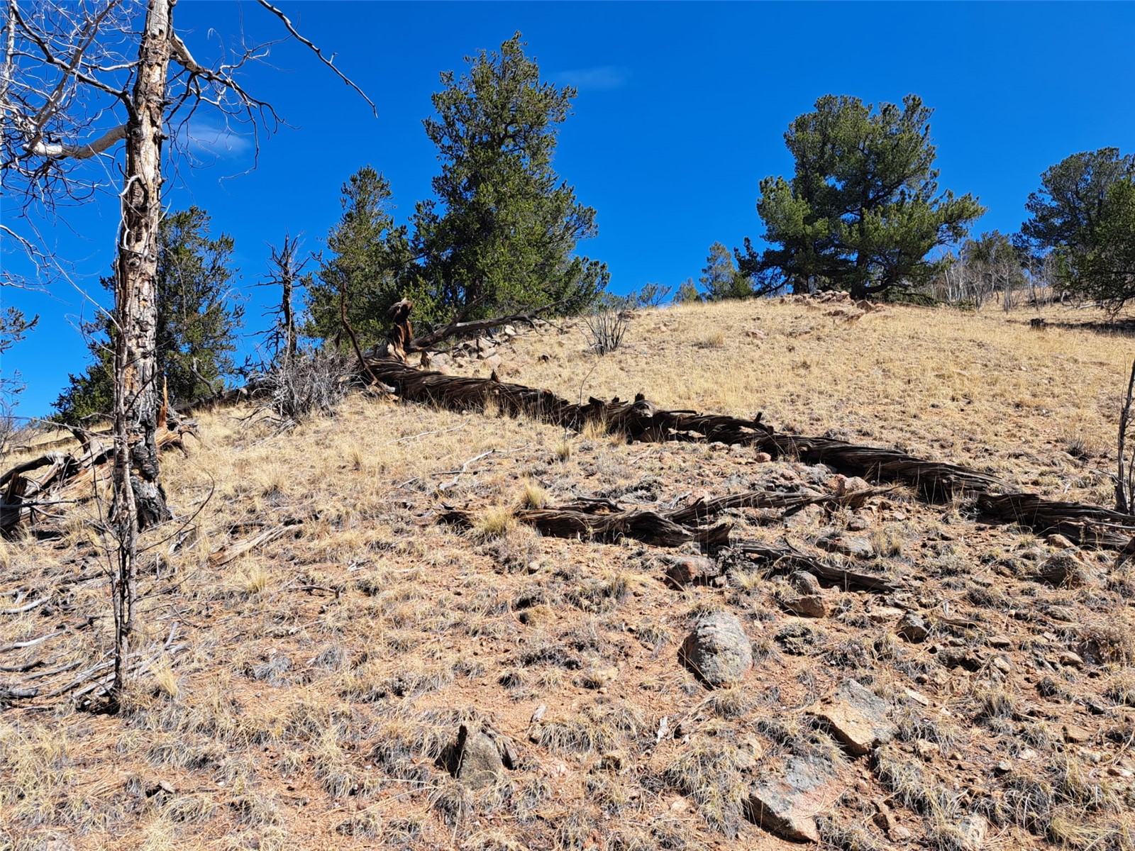 182 Starling Way Como CO 80432