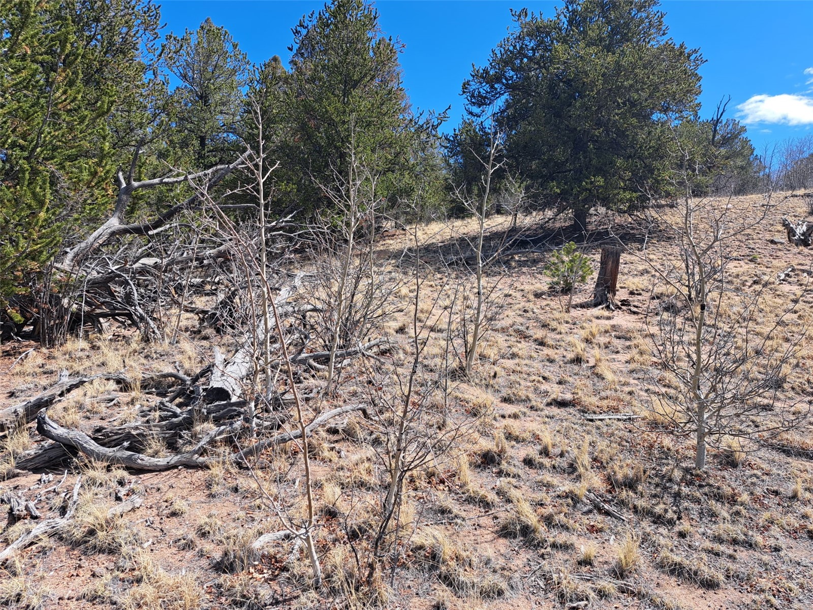182 Starling Way Como CO 80432