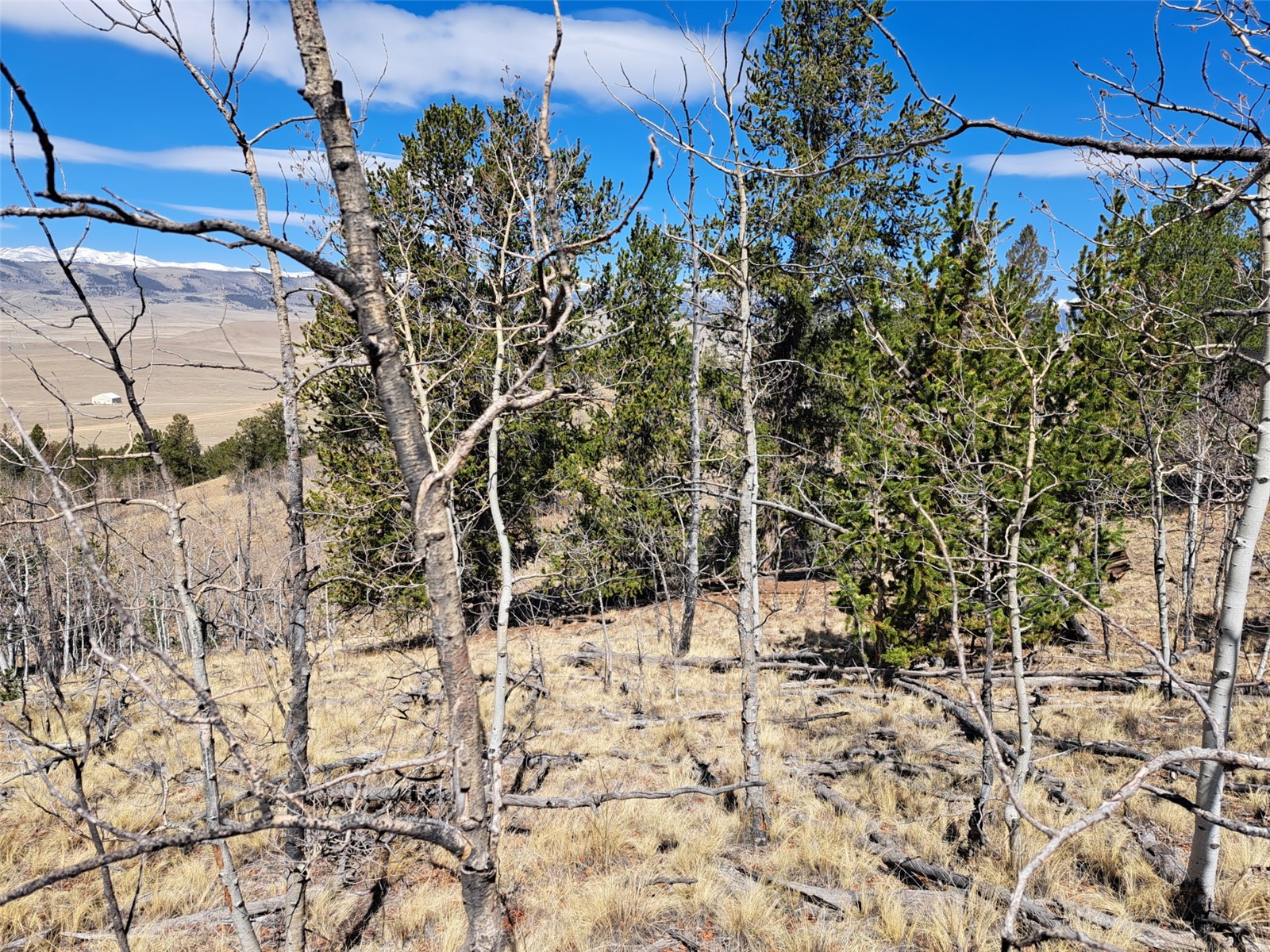 182 Starling Way Como CO 80432
