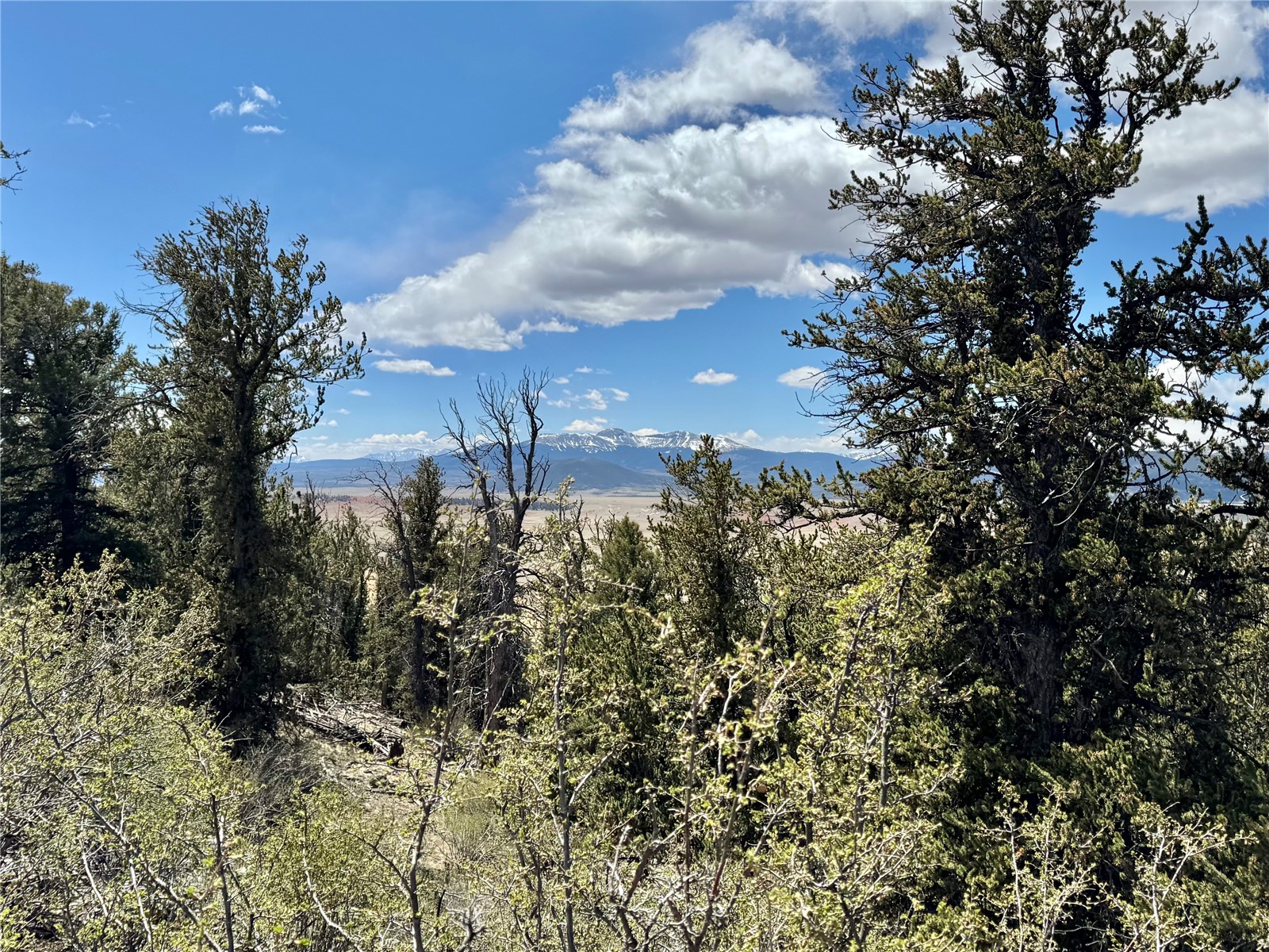 5013 Middle Fork Vista Fairplay CO 80440